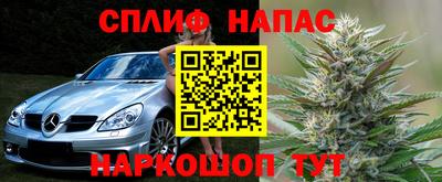 стаф Малоярославец