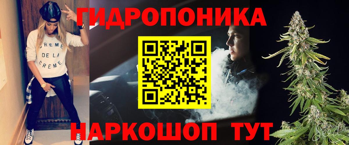 Бошки Шишки планчик Шарыпово